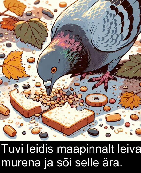 murena: Tuvi leidis maapinnalt leiva murena ja sõi selle ära.