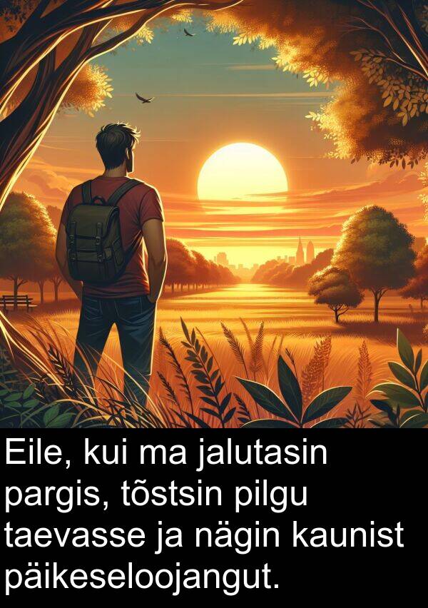 pilgu: Eile, kui ma jalutasin pargis, tõstsin pilgu taevasse ja nägin kaunist päikeseloojangut.