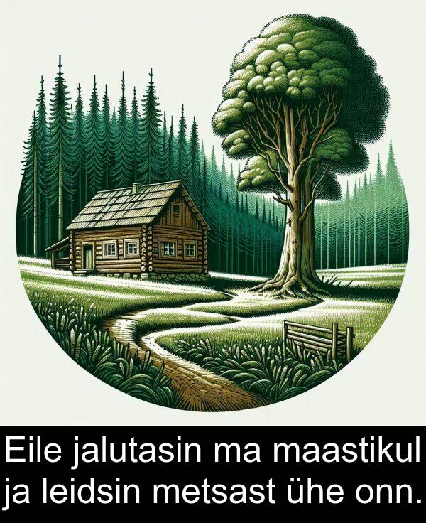 metsast: Eile jalutasin ma maastikul ja leidsin metsast ühe onn.