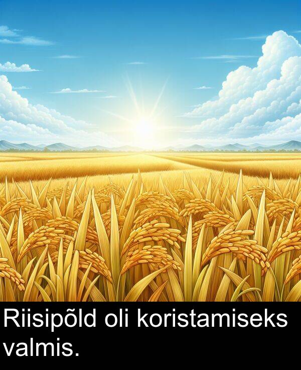 koristamiseks: Riisipõld oli koristamiseks valmis.