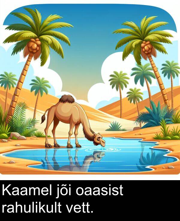 oaasist: Kaamel jõi oaasist rahulikult vett.