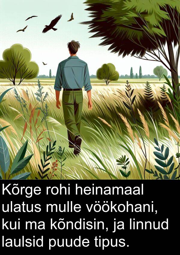 linnud: Kõrge rohi heinamaal ulatus mulle vöökohani, kui ma kõndisin, ja linnud laulsid puude tipus.