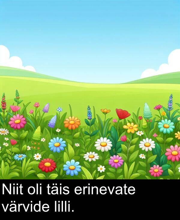 erinevate: Niit oli täis erinevate värvide lilli.