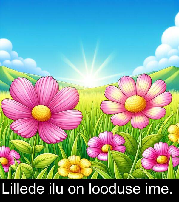 looduse: Lillede ilu on looduse ime.