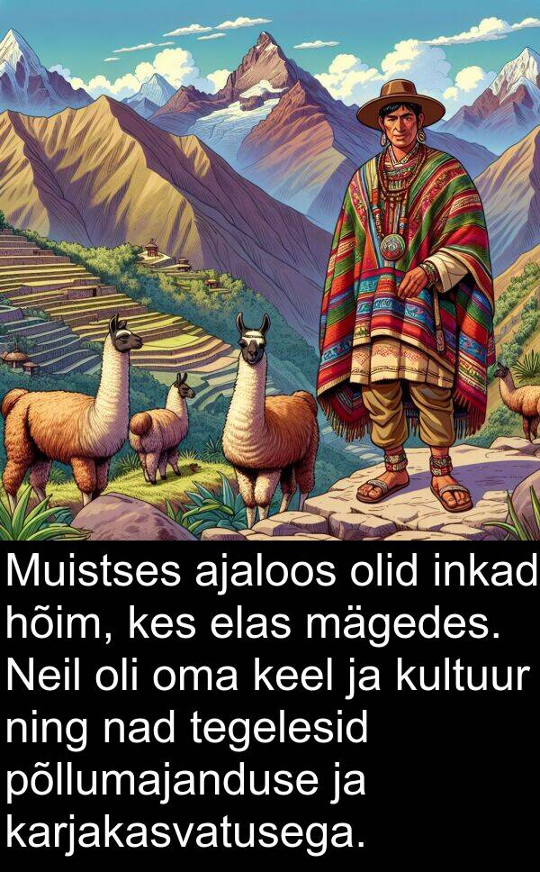 kultuur: Muistses ajaloos olid inkad hõim, kes elas mägedes. Neil oli oma keel ja kultuur ning nad tegelesid põllumajanduse ja karjakasvatusega.
