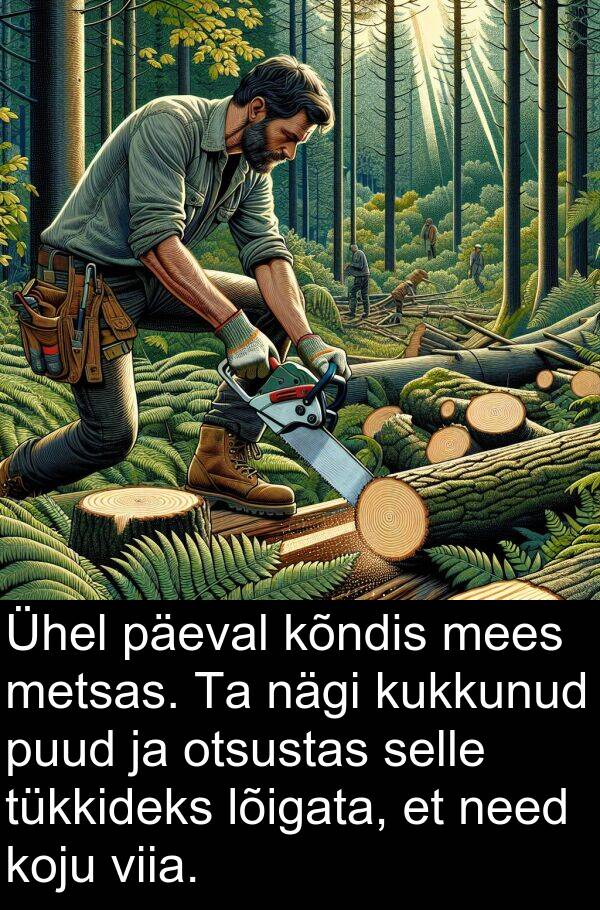 otsustas: Ühel päeval kõndis mees metsas. Ta nägi kukkunud puud ja otsustas selle tükkideks lõigata, et need koju viia.