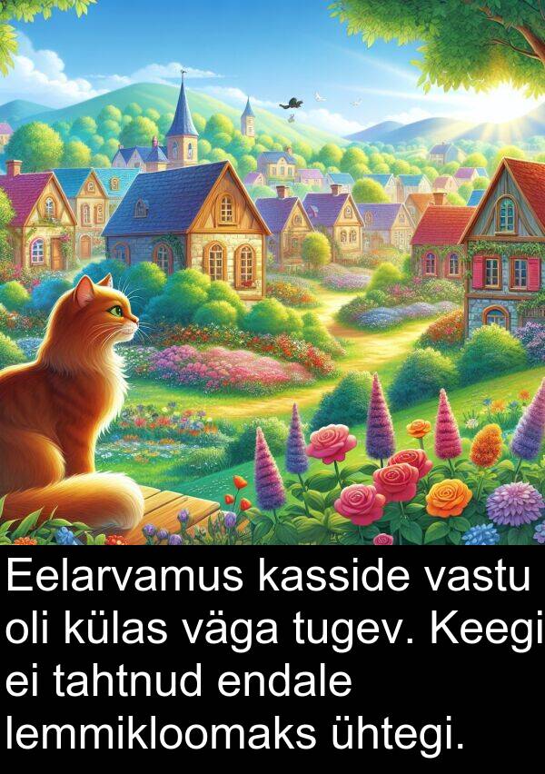 tugev: Eelarvamus kasside vastu oli külas väga tugev. Keegi ei tahtnud endale lemmikloomaks ühtegi.