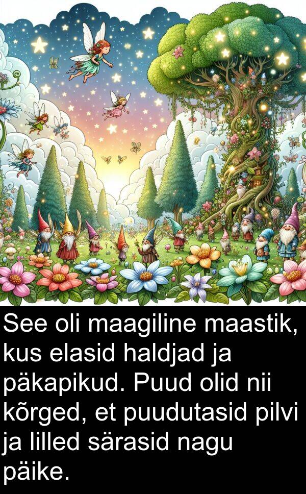 haldjad: See oli maagiline maastik, kus elasid haldjad ja päkapikud. Puud olid nii kõrged, et puudutasid pilvi ja lilled särasid nagu päike.
