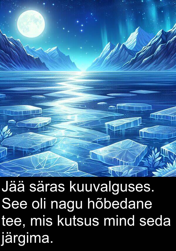 säras: Jää säras kuuvalguses. See oli nagu hõbedane tee, mis kutsus mind seda järgima.