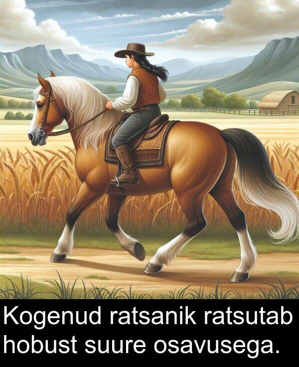 suure: Kogenud ratsanik ratsutab hobust suure osavusega.