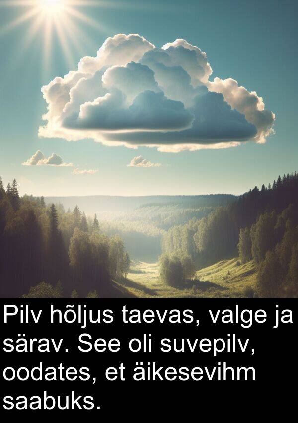 hõljus: Pilv hõljus taevas, valge ja särav. See oli suvepilv, oodates, et äikesevihm saabuks.