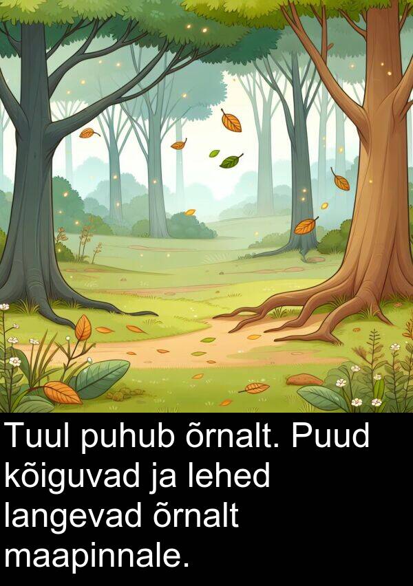 puhub: Tuul puhub õrnalt. Puud kõiguvad ja lehed langevad õrnalt maapinnale.