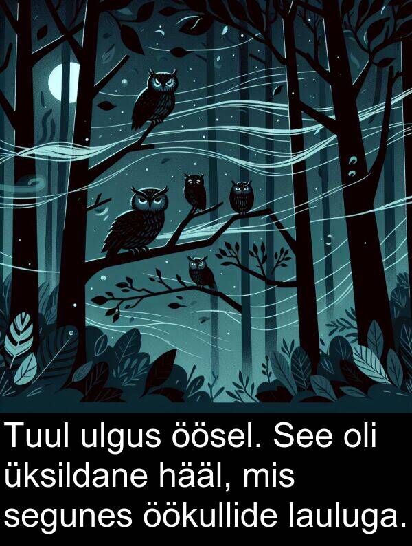 öökullide: Tuul ulgus öösel. See oli üksildane hääl, mis segunes öökullide lauluga.