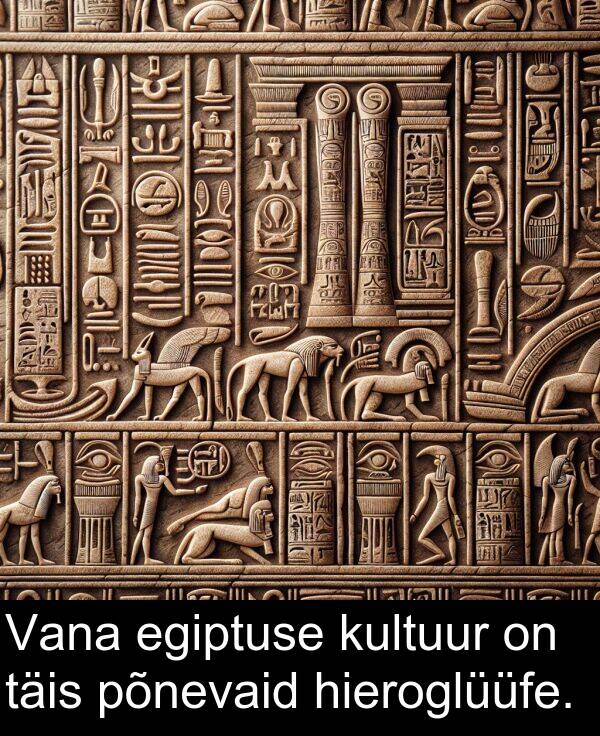 kultuur: Vana egiptuse kultuur on täis põnevaid hieroglüüfe.