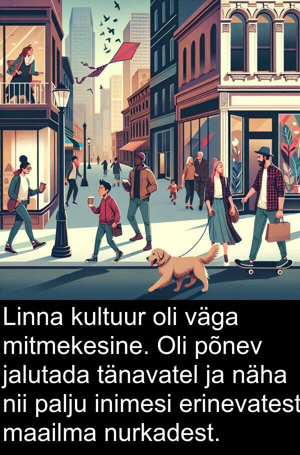 kultuur: Linna kultuur oli väga mitmekesine. Oli põnev jalutada tänavatel ja näha nii palju inimesi erinevatest maailma nurkadest.