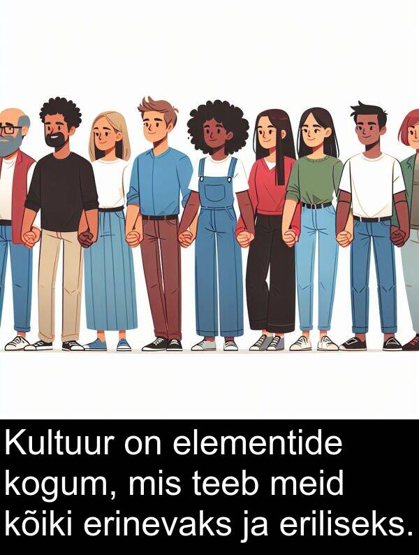 elementide: Kultuur on elementide kogum, mis teeb meid kõiki erinevaks ja eriliseks.