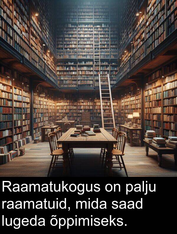 mida: Raamatukogus on palju raamatuid, mida saad lugeda õppimiseks.
