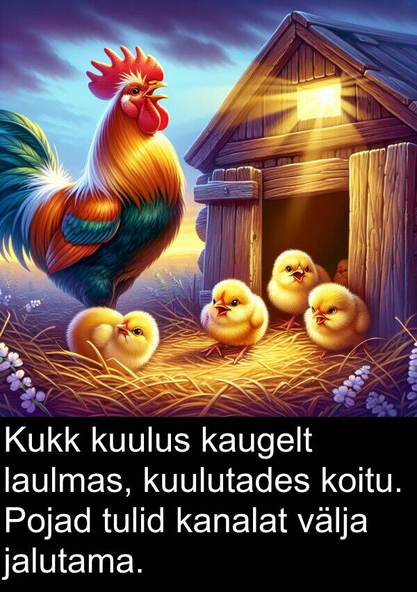 tulid: Kukk kuulus kaugelt laulmas, kuulutades koitu. Pojad tulid kanalat välja jalutama.