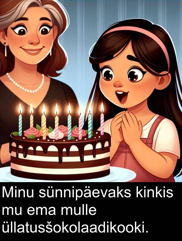 sünnipäevaks: Minu sünnipäevaks kinkis mu ema mulle üllatusšokolaadikooki.