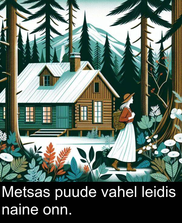 puude: Metsas puude vahel leidis naine onn.
