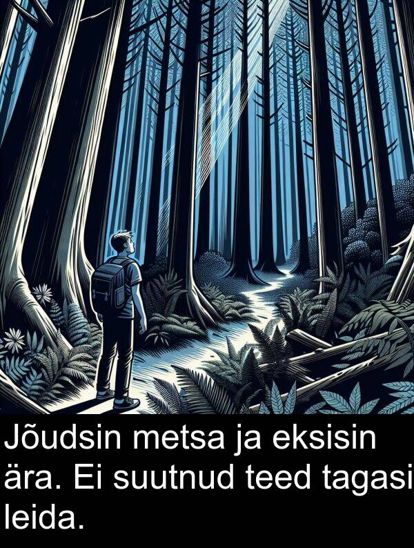 metsa: Jõudsin metsa ja eksisin ära. Ei suutnud teed tagasi leida.