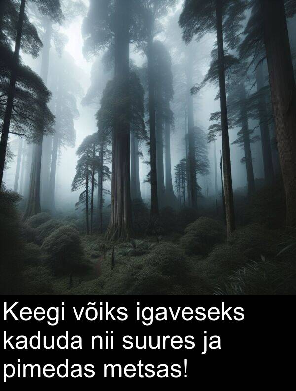 suures: Keegi võiks igaveseks kaduda nii suures ja pimedas metsas!