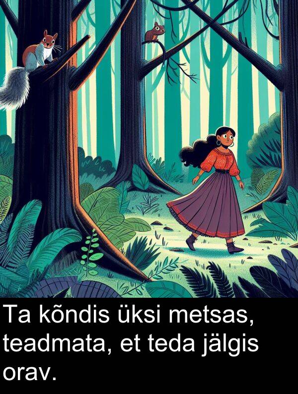 jälgis: Ta kõndis üksi metsas, teadmata, et teda jälgis orav.