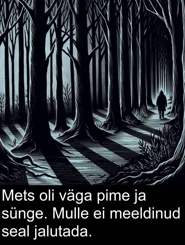sünge: Mets oli väga pime ja sünge. Mulle ei meeldinud seal jalutada.