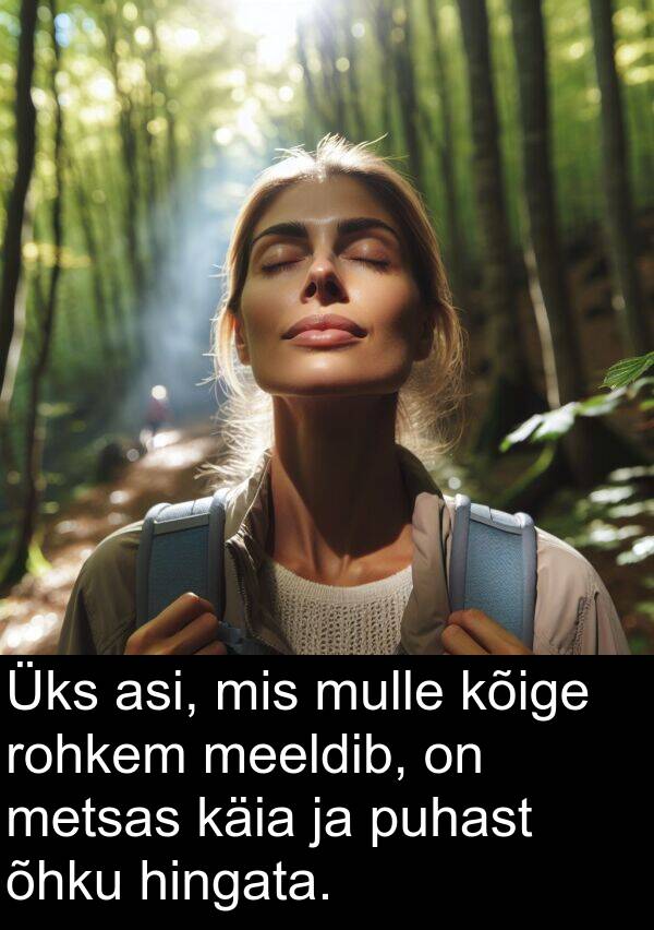 rohkem: Üks asi, mis mulle kõige rohkem meeldib, on metsas käia ja puhast õhku hingata.
