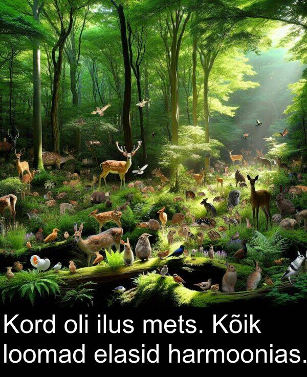 elasid: Kord oli ilus mets. Kõik loomad elasid harmoonias.