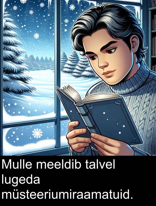 müsteeriumiraamatuid: Mulle meeldib talvel lugeda müsteeriumiraamatuid.
