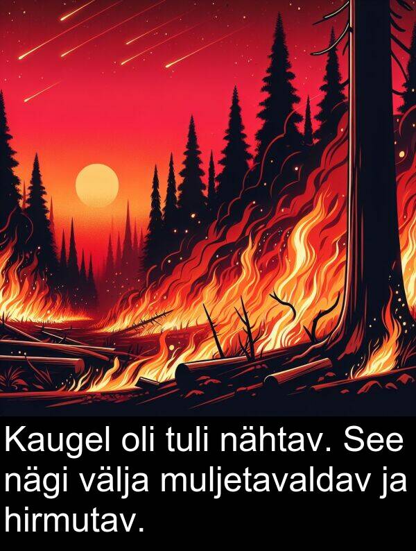 välja: Kaugel oli tuli nähtav. See nägi välja muljetavaldav ja hirmutav.