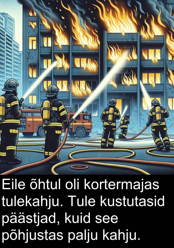 tulekahju: Eile õhtul oli kortermajas tulekahju. Tule kustutasid päästjad, kuid see põhjustas palju kahju.