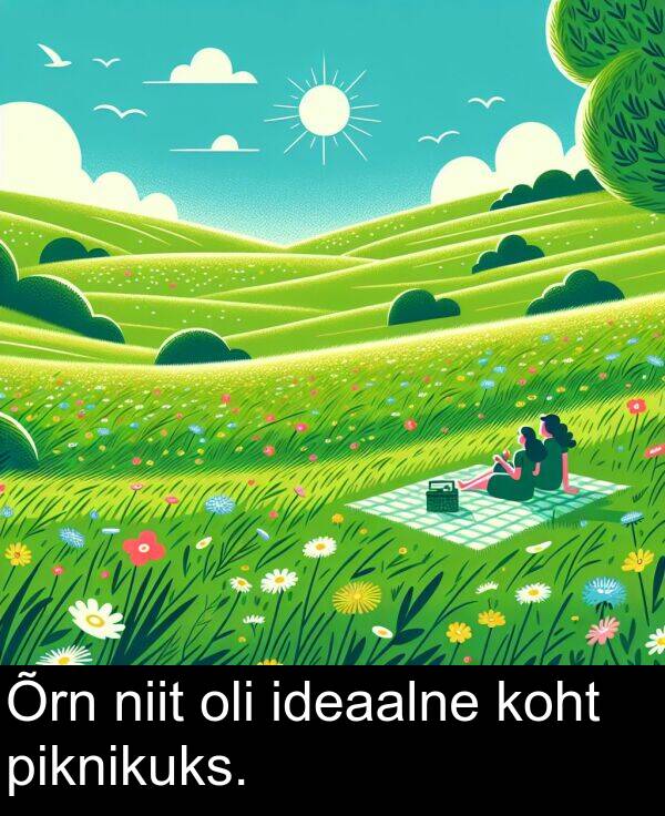 piknikuks: Õrn niit oli ideaalne koht piknikuks.