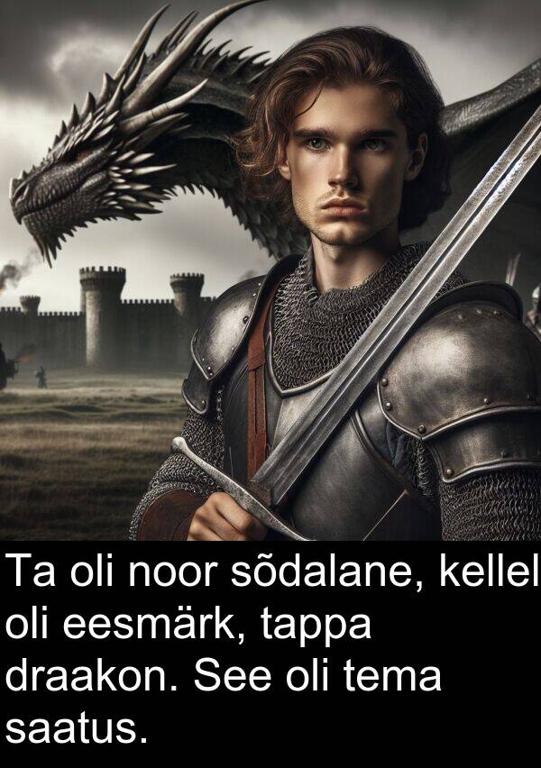draakon: Ta oli noor sõdalane, kellel oli eesmärk, tappa draakon. See oli tema saatus.