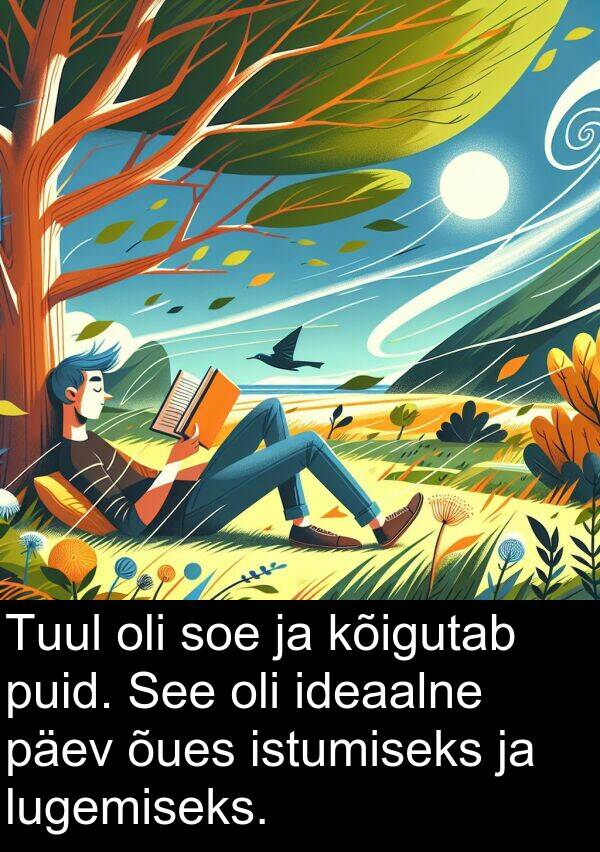 puid: Tuul oli soe ja kõigutab puid. See oli ideaalne päev õues istumiseks ja lugemiseks.