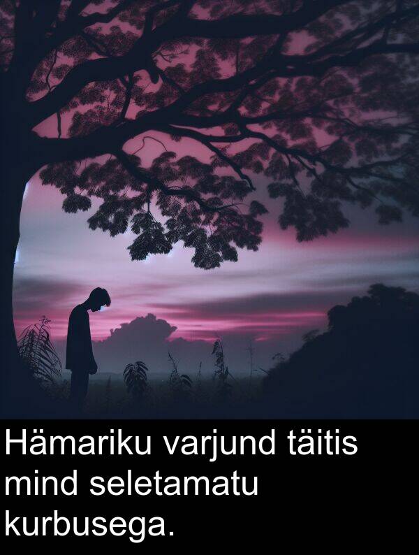 täitis: Hämariku varjund täitis mind seletamatu kurbusega.