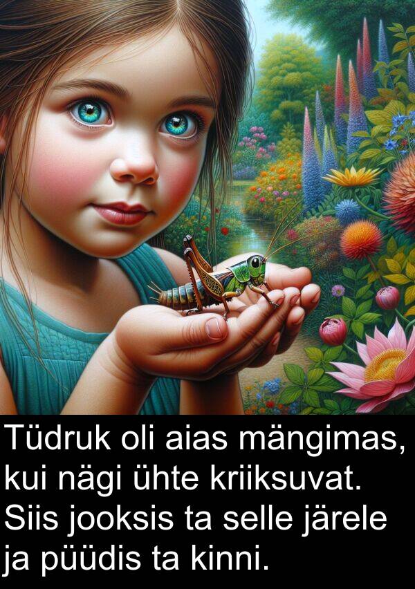 mängimas: Tüdruk oli aias mängimas, kui nägi ühte kriiksuvat. Siis jooksis ta selle järele ja püüdis ta kinni.