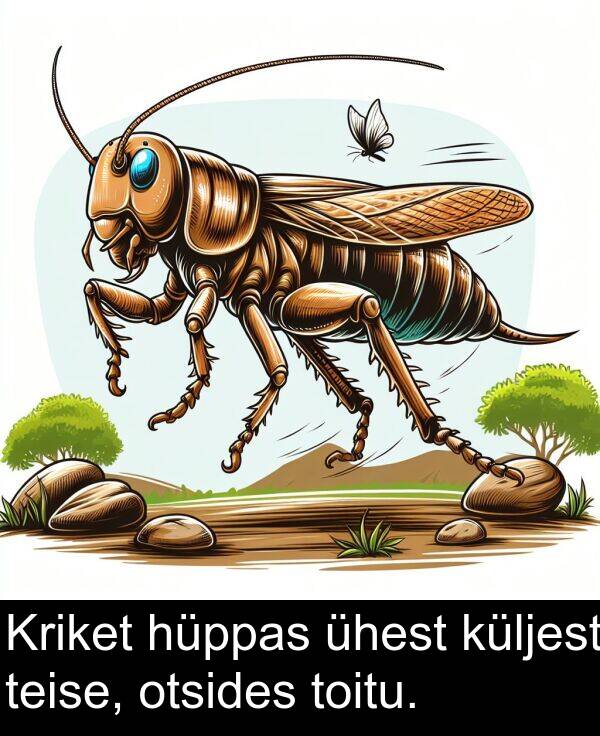 küljest: Kriket hüppas ühest küljest teise, otsides toitu.