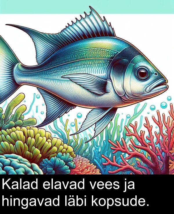 läbi: Kalad elavad vees ja hingavad läbi kopsude.