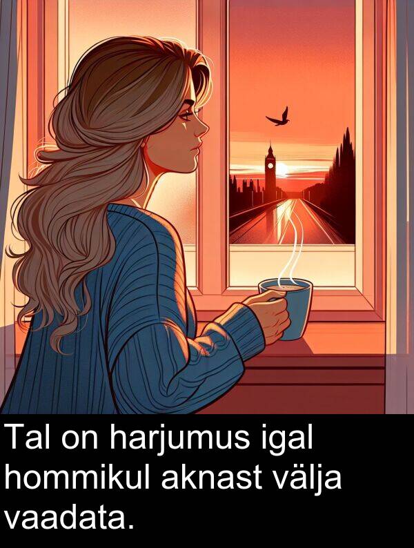 välja: Tal on harjumus igal hommikul aknast välja vaadata.