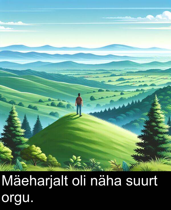 orgu: Mäeharjalt oli näha suurt orgu.