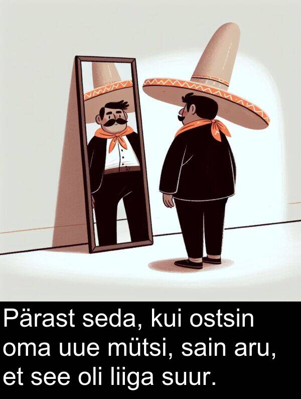 ostsin: Pärast seda, kui ostsin oma uue mütsi, sain aru, et see oli liiga suur.