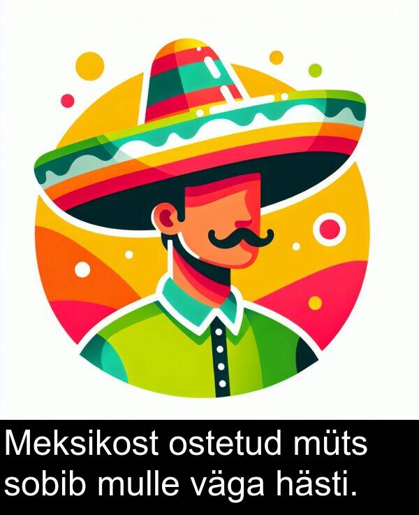 ostetud: Meksikost ostetud müts sobib mulle väga hästi.