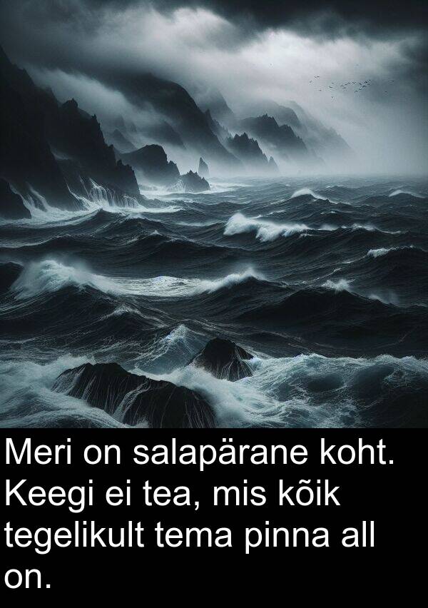 koht: Meri on salapärane koht. Keegi ei tea, mis kõik tegelikult tema pinna all on.