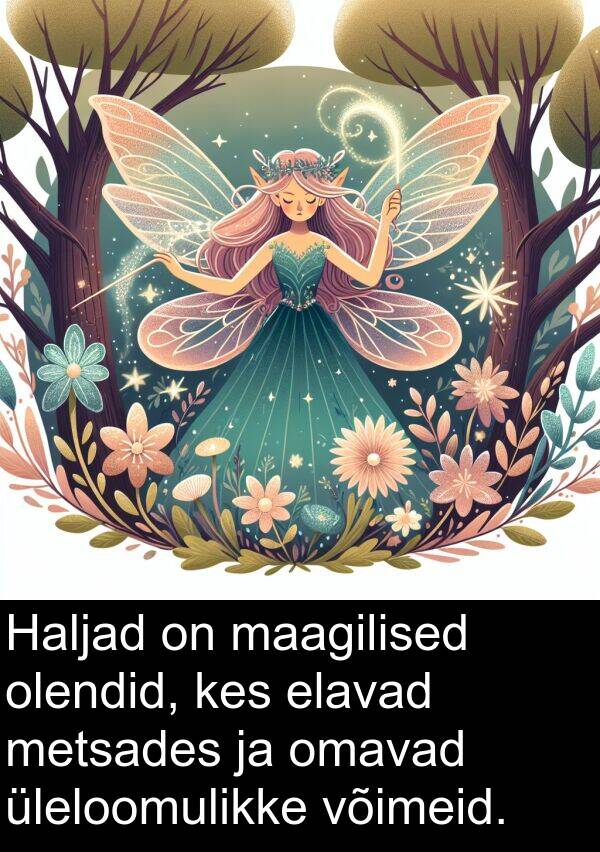 maagilised: Haljad on maagilised olendid, kes elavad metsades ja omavad üleloomulikke võimeid.