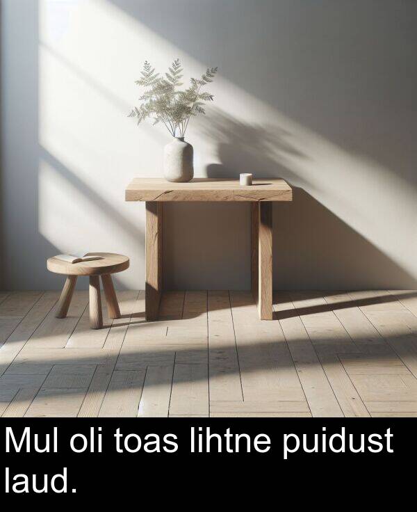 toas: Mul oli toas lihtne puidust laud.