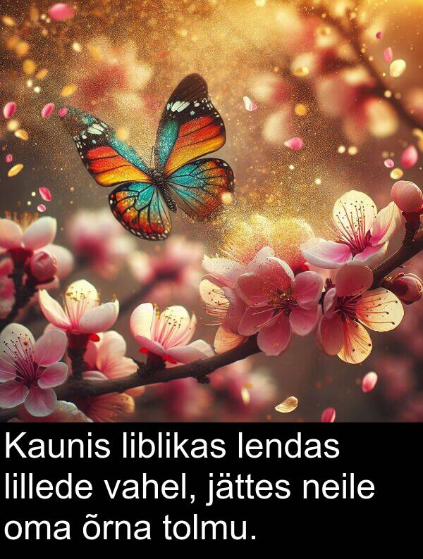 lillede: Kaunis liblikas lendas lillede vahel, jättes neile oma õrna tolmu.