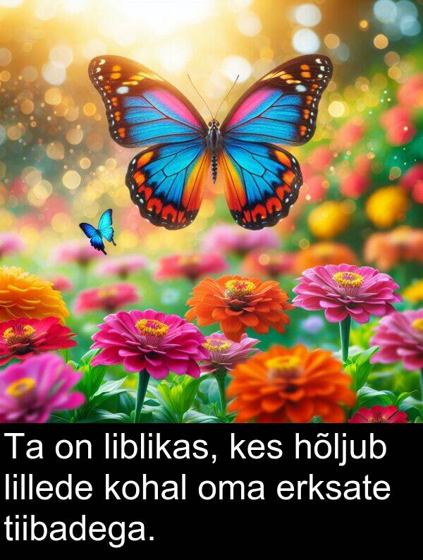 kohal: Ta on liblikas, kes hõljub lillede kohal oma erksate tiibadega.