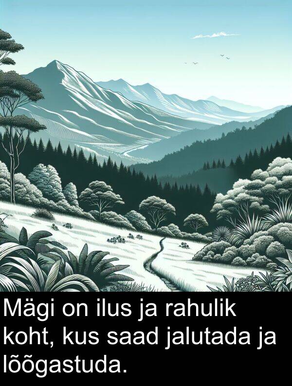 kus: Mägi on ilus ja rahulik koht, kus saad jalutada ja lõõgastuda.